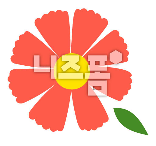 주홍색코스모스 이미지 미리보기