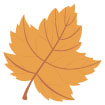 가을낙엽 템플릿