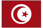 튀니지 국기 템플릿