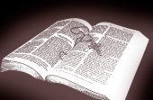 영문성경과 십자가 템플릿